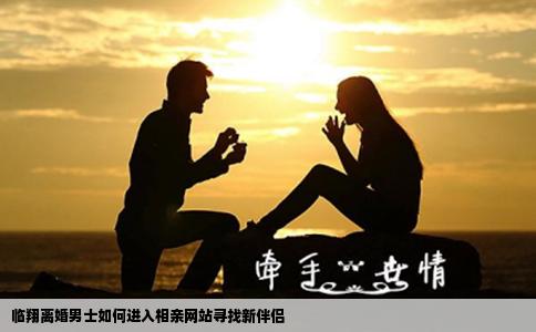 临翔离婚男士如何进入相亲网站寻找新伴侣