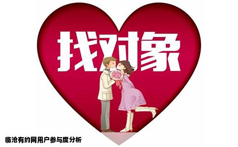 临沧有约网用户参与度分析