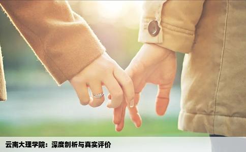 云南大理学院：深度剖析与真实评价