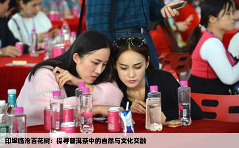 印级临沧百花树：探寻普洱茶中的自然与文化交融
