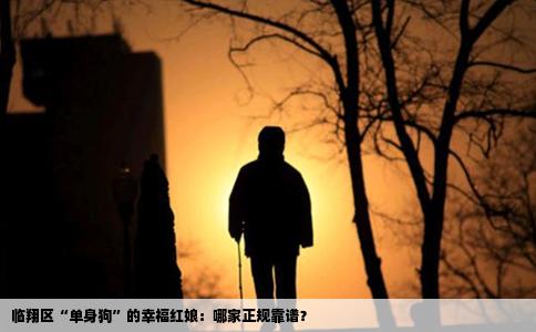 临翔区“单身狗”的幸福红娘：哪家正规靠谱？