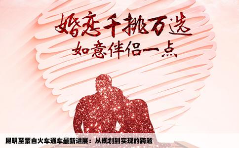 昆明至蒙自火车通车最新进展：从规划到实现的跨越