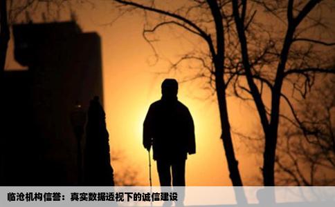 临沧机构信誉：真实数据透视下的诚信建设