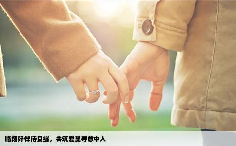 临翔好伴待良缘，共筑爱巢寻意中人