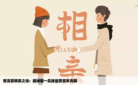 普洱茶熟茶之选：揭秘哪一品牌最受茶友青睐