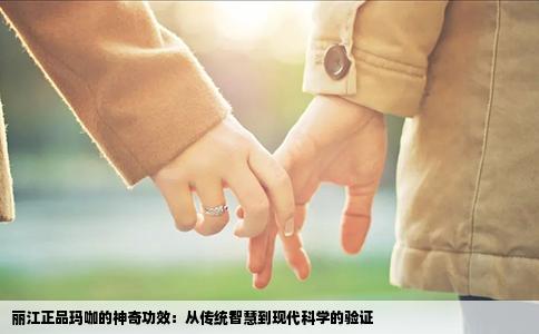 丽江正品玛咖的神奇功效：从传统智慧到现代科学的验证