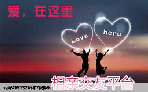 云南省医学类专科学院概览