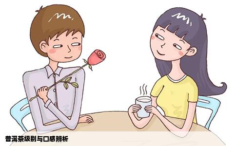 普洱茶级别与口感辨析