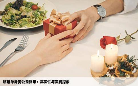 临翔单身狗公益相亲：真实性与实践探索