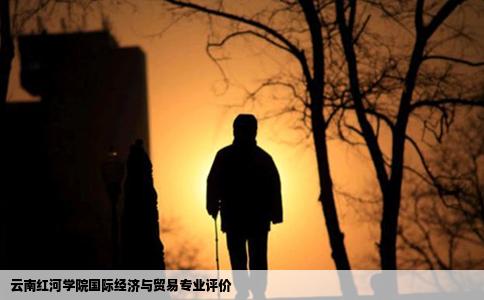 云南红河学院国际经济与贸易专业评价