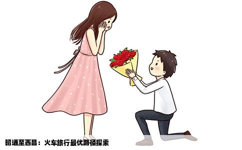 昭通至西昌：火车旅行最优路径探索