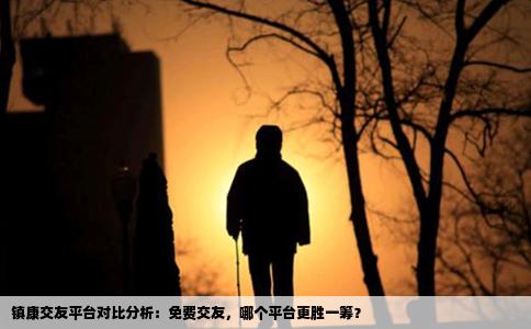 镇康交友平台对比分析：免费交友，哪个平台更胜一筹？